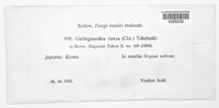 Image Associated With the Occurence